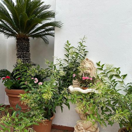 Hotel Park Calitto Forio di Ischia Buitenkant foto