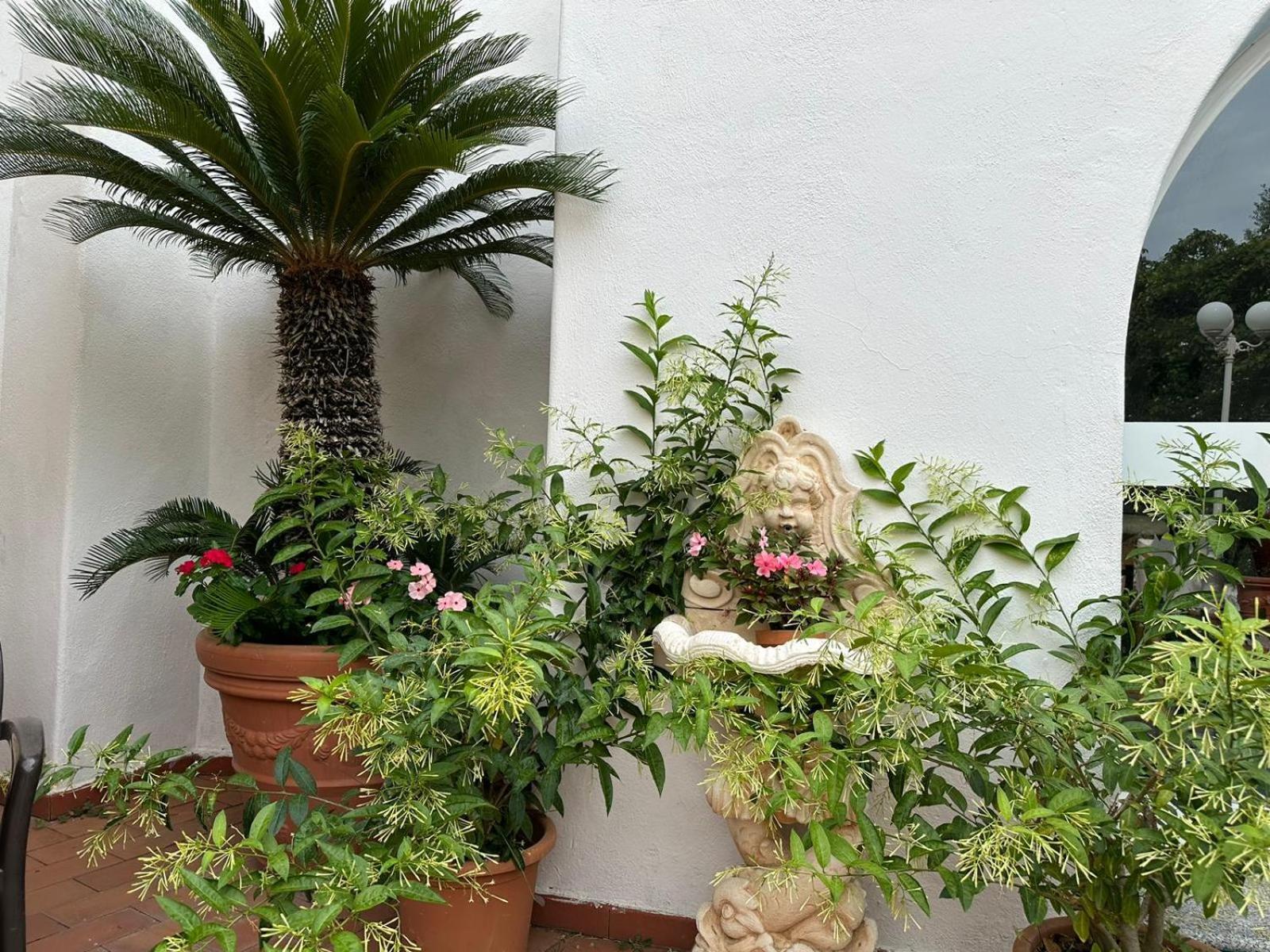 Hotel Park Calitto Forio di Ischia Buitenkant foto