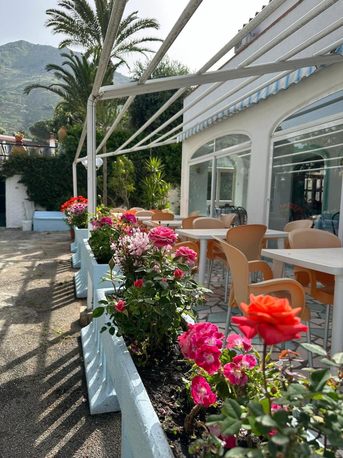 Hotel Park Calitto Forio di Ischia Buitenkant foto