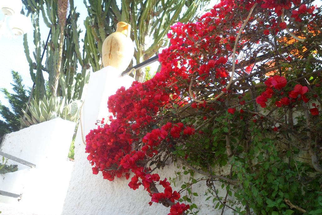 Hotel Park Calitto Forio di Ischia Buitenkant foto
