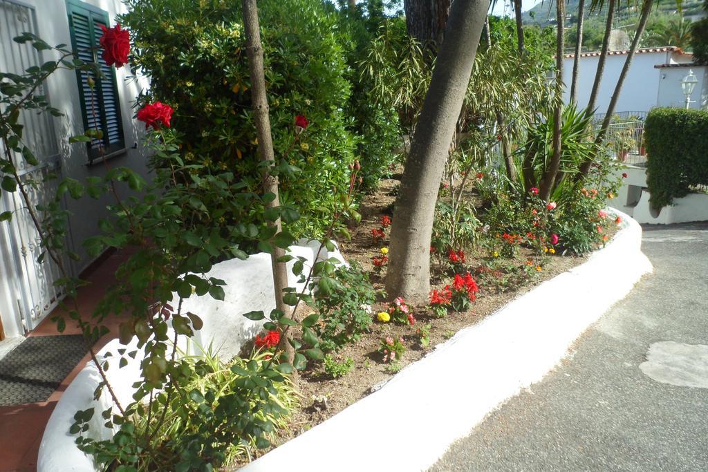 Hotel Park Calitto Forio di Ischia Buitenkant foto
