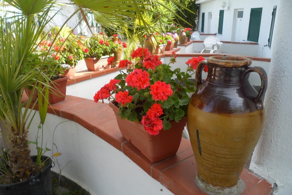 Hotel Park Calitto Forio di Ischia Buitenkant foto