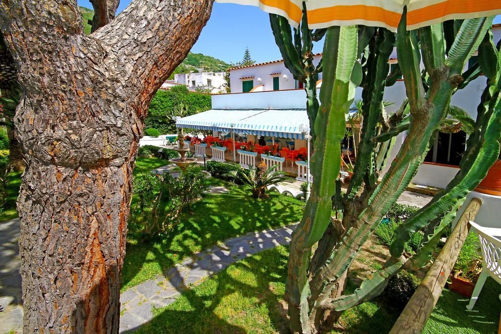 Hotel Park Calitto Forio di Ischia Buitenkant foto